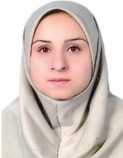 Arefeh Dehghani Tafti, PhD